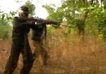 seven killed in maharashtra shootout with maoists