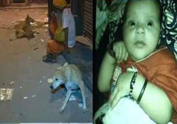 shocking 2 months old baby mauled to death by dog in delhi