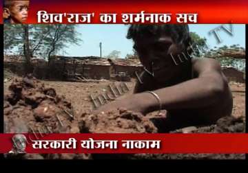 shocking mp children feeding themselves on seeds picked from cowdung