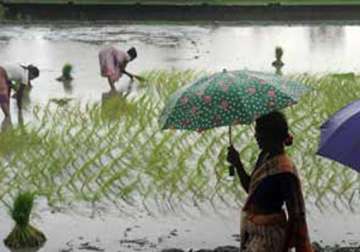 southwest monsoon may hit odisha on time