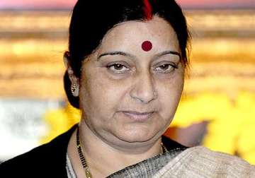 sushma swaraj reviews iraq action plan with gulf envoys