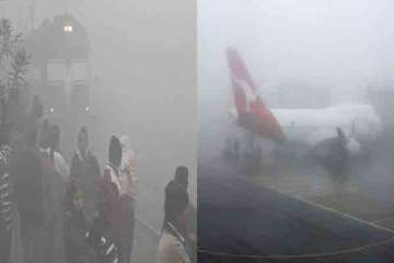 thick fog disrupts flights trains road traffic in delhi ncr
