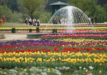 thousands visit asia s largest tulip garden in srinagar