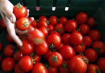 tomato prices double in four days at rs 100 per kg