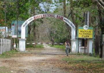 un panel asks india to act against poaching in manas sanctuary