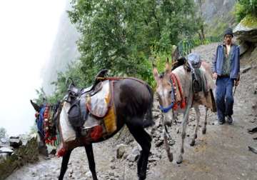 uttarakhand mule drivers turned bandits robbed pilgrims pushed them from hill slopes
