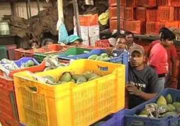 vmc seizes destroys 2000 kg mangoes