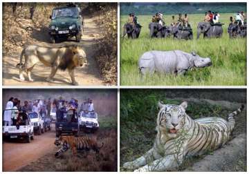 visit india s famous wildlife destinations this winter