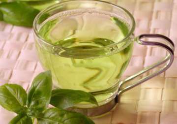 want to improve your memory drink green tea