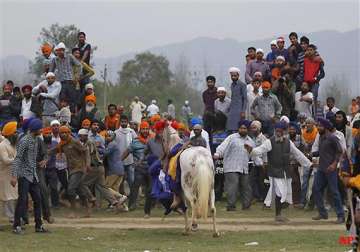 watch in pics sikhs celebrate hola mohalla in punjab