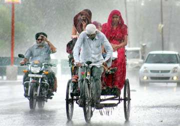 widespread showers lash punjab haryana delay harvesting