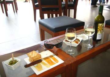 wine tourism want to stay in an indian vineyard go to nashik