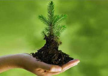 world environment day india s green mission caught in funds crunch