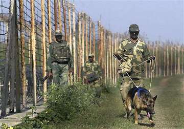 19 ceasefire violations by pakistan in 2011