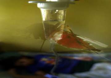 33 fresh dengue cases in delhi virus hits 330