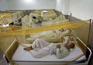 33 fresh dengue cases in capital