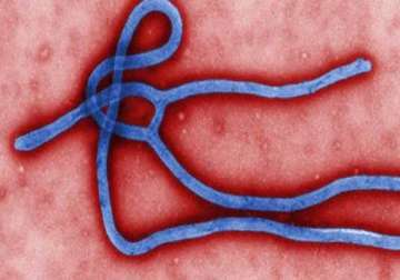 5 arrivals in india found to have contact history with ebola cases