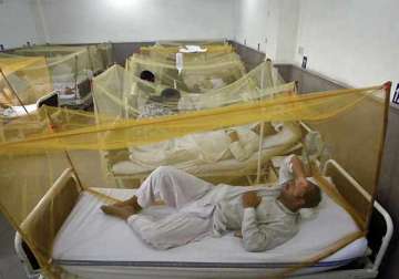 26 dengue cases in national capital sdmc report