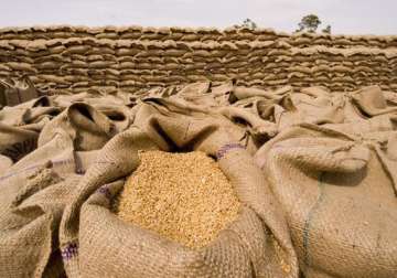 47.83 lakh tonnes of wheat arrives in haryana