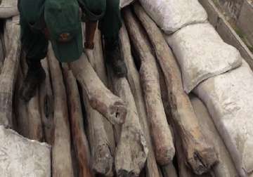 15 tonnes illegal sandalwood seized in karnataka