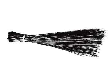 aap officially launches broom as party symbol