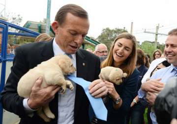 abbott led coalition heading for victory in australia exit poll