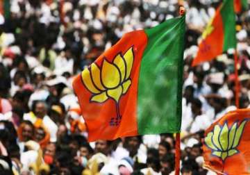 bjp could get 206 218 seats says opinion poll
