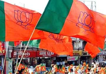 bjp holds black day rallies in delhi to counter congress show