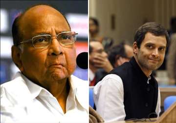 i can t work with rahul gandhi sharad pawar