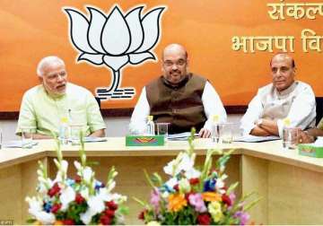 opinion divided in bjp over taking action on dissenters