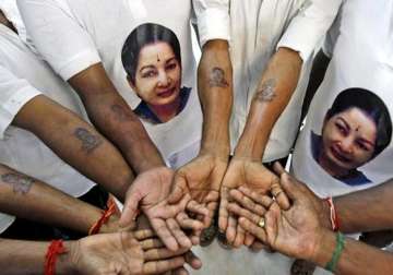 5 crazy ways supporters celebrated amma s 68th birthday in tamil nadu