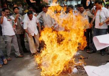 congress workers burn pm modi s effigy in protest of land bill