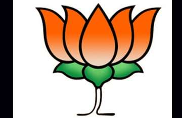 bjp wins bangalore civic polls for first time in 54 years