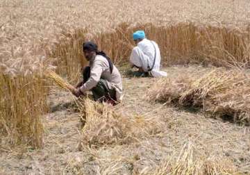 haryana govt releases cheques of rs 28 crore for farmers