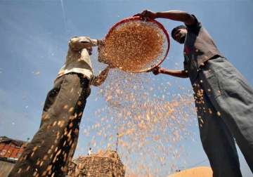 food reforms on the cards subsidised grains may be limited to 40 of population only