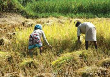 telangana bandh over farm loan waiver begins