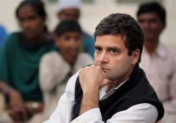 rahul s absence forces congress to scale down ambedkar jayanti celebrations