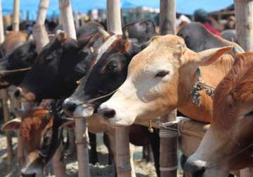 jd u calls for anti cow slaughter legislation