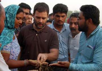 rahul gandhi vows to raise voice for farmers on every platform