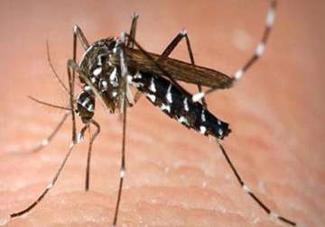 high alert on dengue sounded in bihar health minister