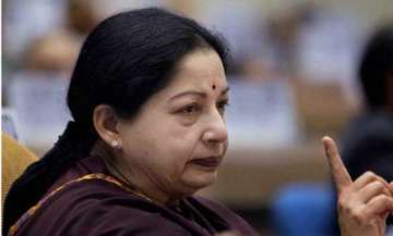 supreme court grants bail to jayalalithaa