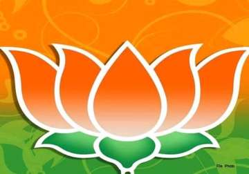 delhi polls no comments contrary to party line bjp cautions leaders
