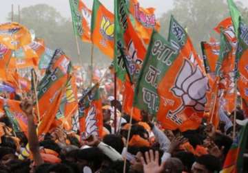 bihar defeat impact will be only temporary bjp