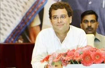 nitish govt has failed in bihar says rahul