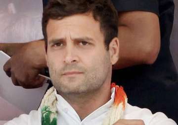 rahul gandhi to review performance of 8 pcc presidents