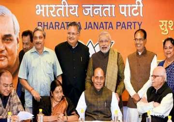 bjp likely to launch its website today
