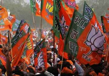 delhi polls bjp declares remaining 4 candidates for delhi assembly poll
