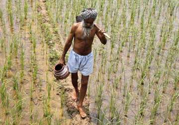 number of farmers suicides down due to govt s efforts bjp