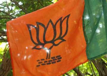 bjp to launch membership drive from november 1