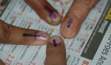 saarc observers for maharashtra polls